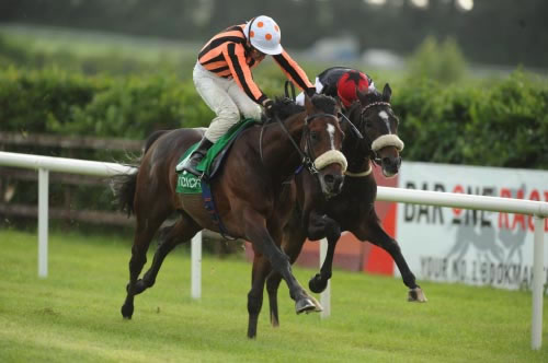 Kings Warrant Navan 15th June 2012
